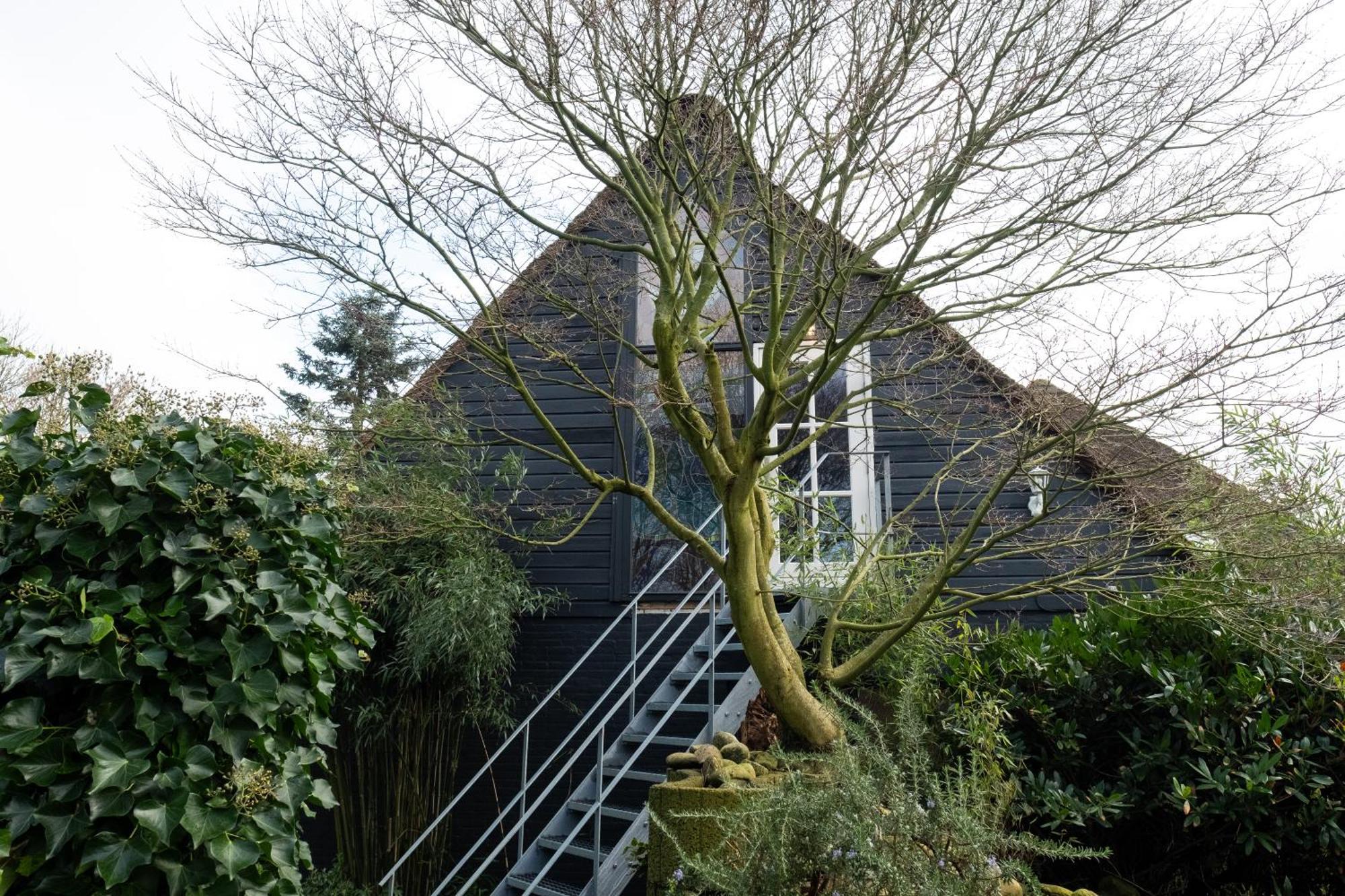 Dream Apartments Hoogwoud Bagian luar foto